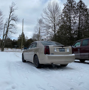 Meet your Posher, Brayden